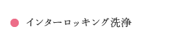 インターロッキング洗浄